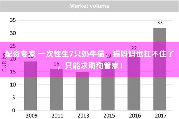 配资专家 一次性生7只奶牛猫，猫妈妈也扛不住了，只能求助狗管家！