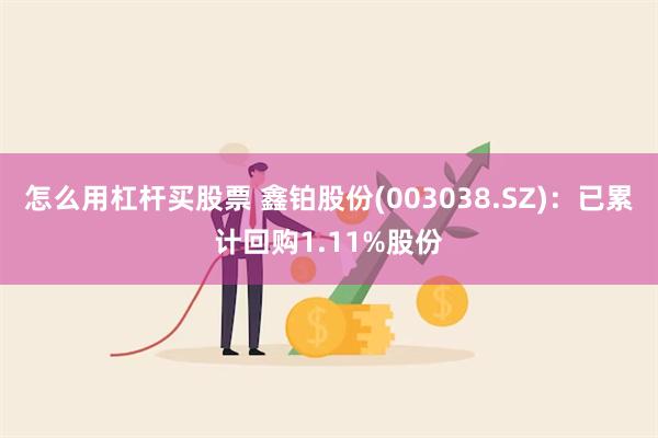 怎么用杠杆买股票 鑫铂股份(003038.SZ)：已累计回购1.11%股份