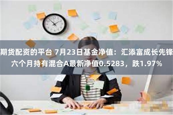 期货配资的平台 7月23日基金净值：汇添富成长先锋六个月持有混合A最新净值0.5283，跌1.97%