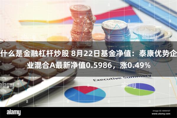 什么是金融杠杆炒股 8月22日基金净值：泰康优势企业混合A最新净值0.5986，涨0.49%