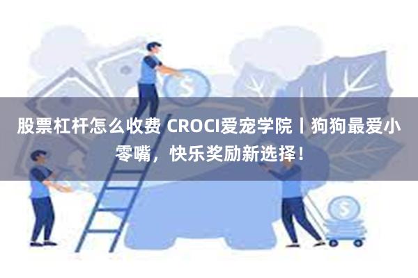 股票杠杆怎么收费 CROCI爱宠学院丨狗狗最爱小零嘴，快乐奖励新选择！