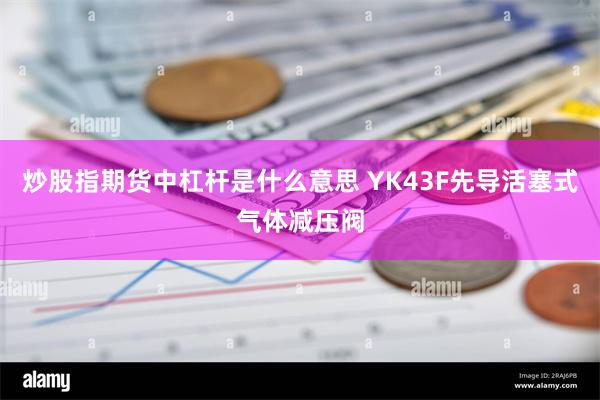 炒股指期货中杠杆是什么意思 YK43F先导活塞式气体减压阀