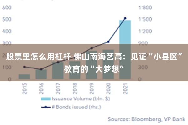 股票里怎么用杠杆 佛山南海艺高：见证“小县区”教育的“大梦想”