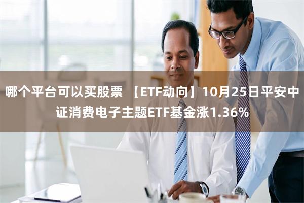 哪个平台可以买股票 【ETF动向】10月25日平安中证消费电子主题ETF基金涨1.36%