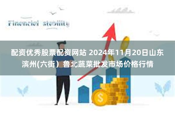 配资优秀股票配资网站 2024年11月20日山东滨州(六街）鲁北蔬菜批发市场价格行情