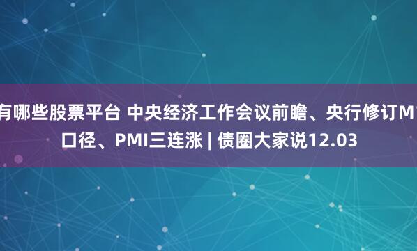 有哪些股票平台 中央经济工作会议前瞻、央行修订M1口径、PMI三连涨 | 债圈大家说12.03