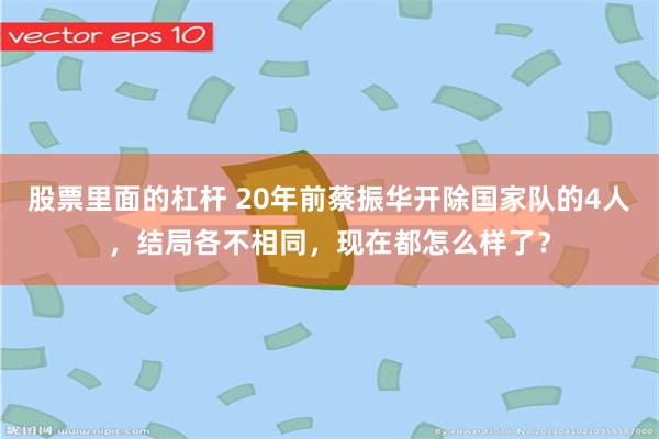 股票里面的杠杆 20年前蔡振华开除国家队的4人，结局各不相同，现在都怎么样了？