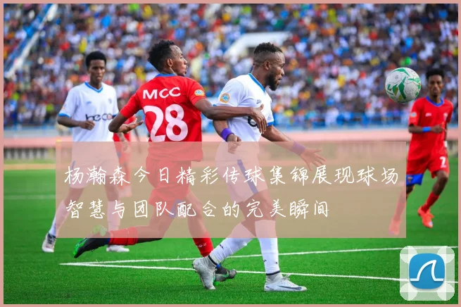 杨瀚森今日精彩传球集锦展现球场智慧与团队配合的完美瞬间