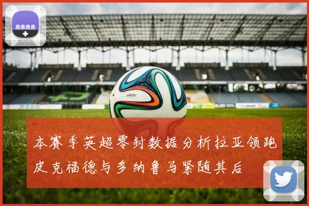 本赛季英超零封数据分析拉亚领跑皮克福德与多纳鲁马紧随其后