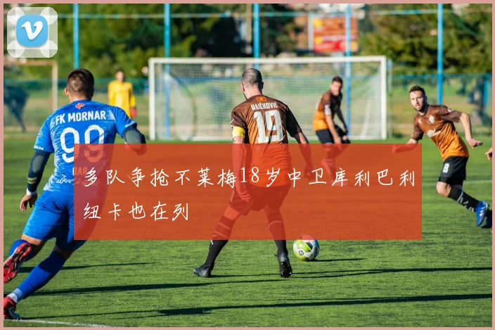 多队争抢不莱梅18岁中卫库利巴利纽卡也在列