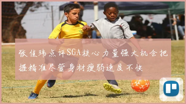 张佳玮点评SGA核心力量强大机会把握精准尽管身材瘦弱速度不快