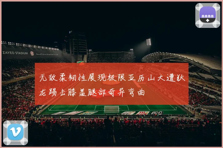 无敌柔韧性展现极限亚历山大遭狄龙踢击膝盖腿部奇异弯曲